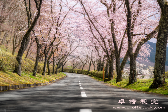 旅游风景图片素材，图片素材网址大全