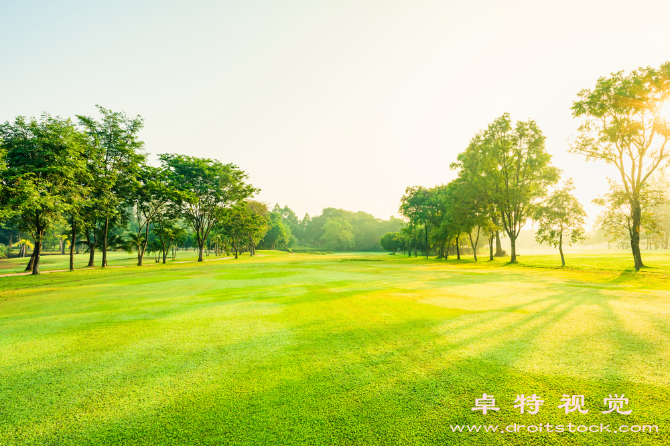 青草图片素材