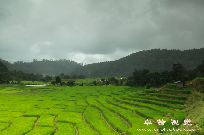 田园牧歌美丽农家小屋的梦幻场景