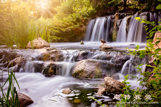 高山流水图片素材