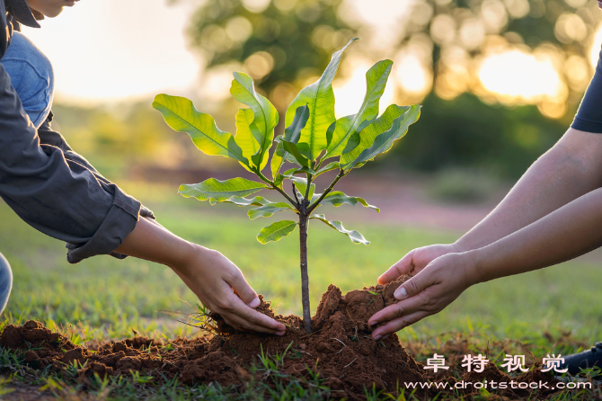 创造美好生活实现快乐健康和成功