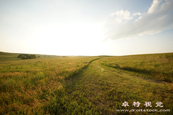 草原的图片素材