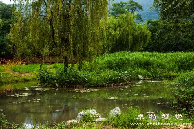 韩夏视频素材，免费视频素材