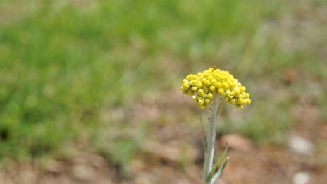 清明节背景