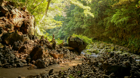 乔治洞穴