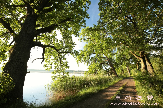 电影片头视频素材图片素材