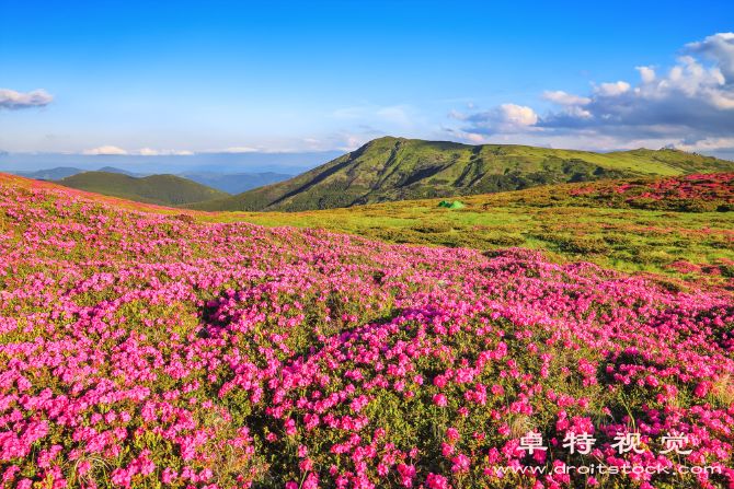 夏天风景图片图片素材