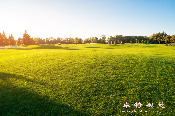 树木风景图片图片素材