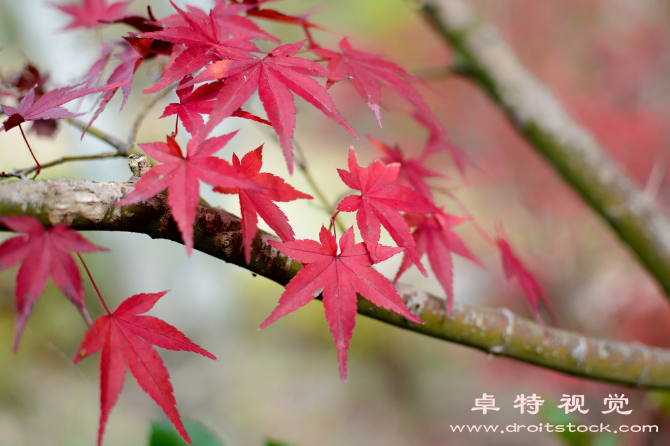 数学背景图片素材