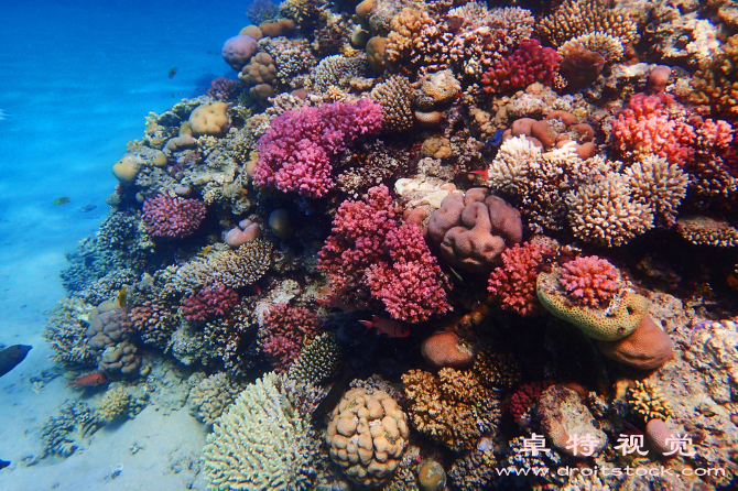 梦幻海底水族馆图片素材