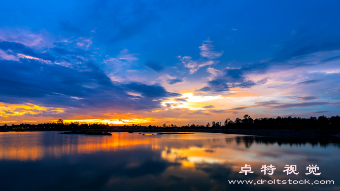 花剪影图片素材