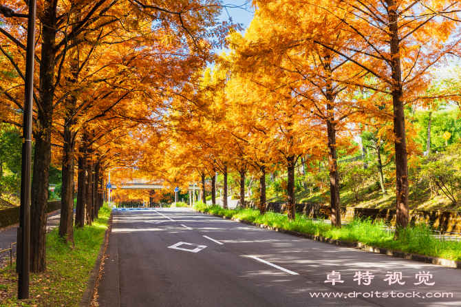 春夏秋冬的图片图片素材