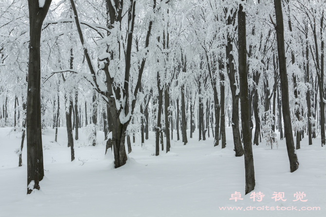 故事背景图片素材