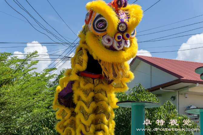 虎年舞狮图片素材