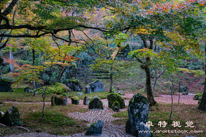 植树节艺术字图片素材