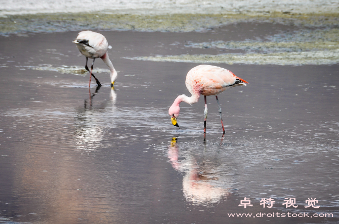 火山岩石图片素材