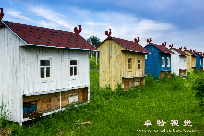 蜜蜂卡通图片图片素材