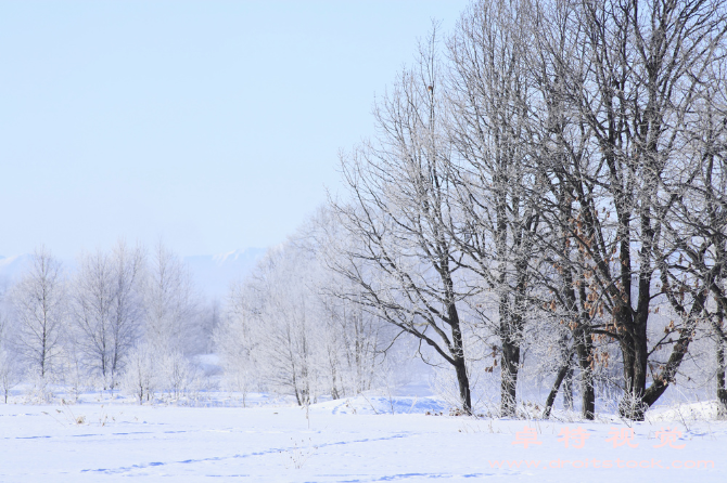 雪地图片素材