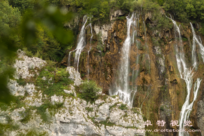 森林照片图片素材