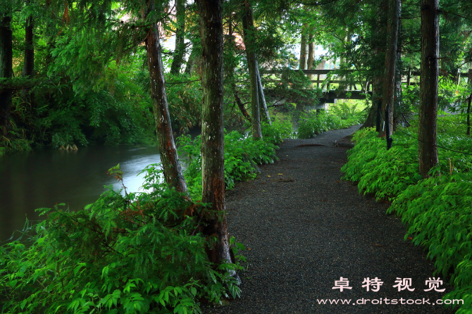 雨伞卡通图片图片素材