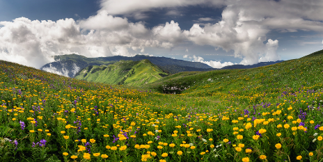 高山日出